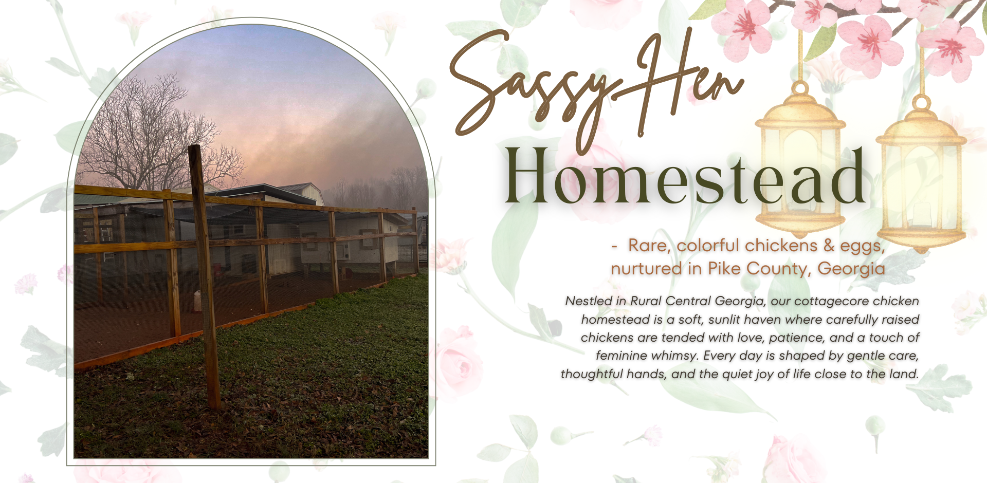 Sassy Hen Homestead farm and chicken enclosures in rural Georgia