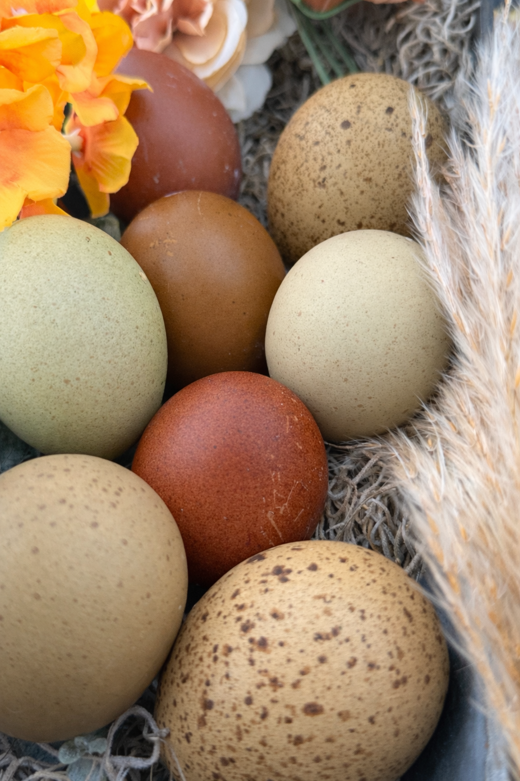 Brown and green eggs , some with speckling, sitting in a metal basket surrounded by flowers and straw.