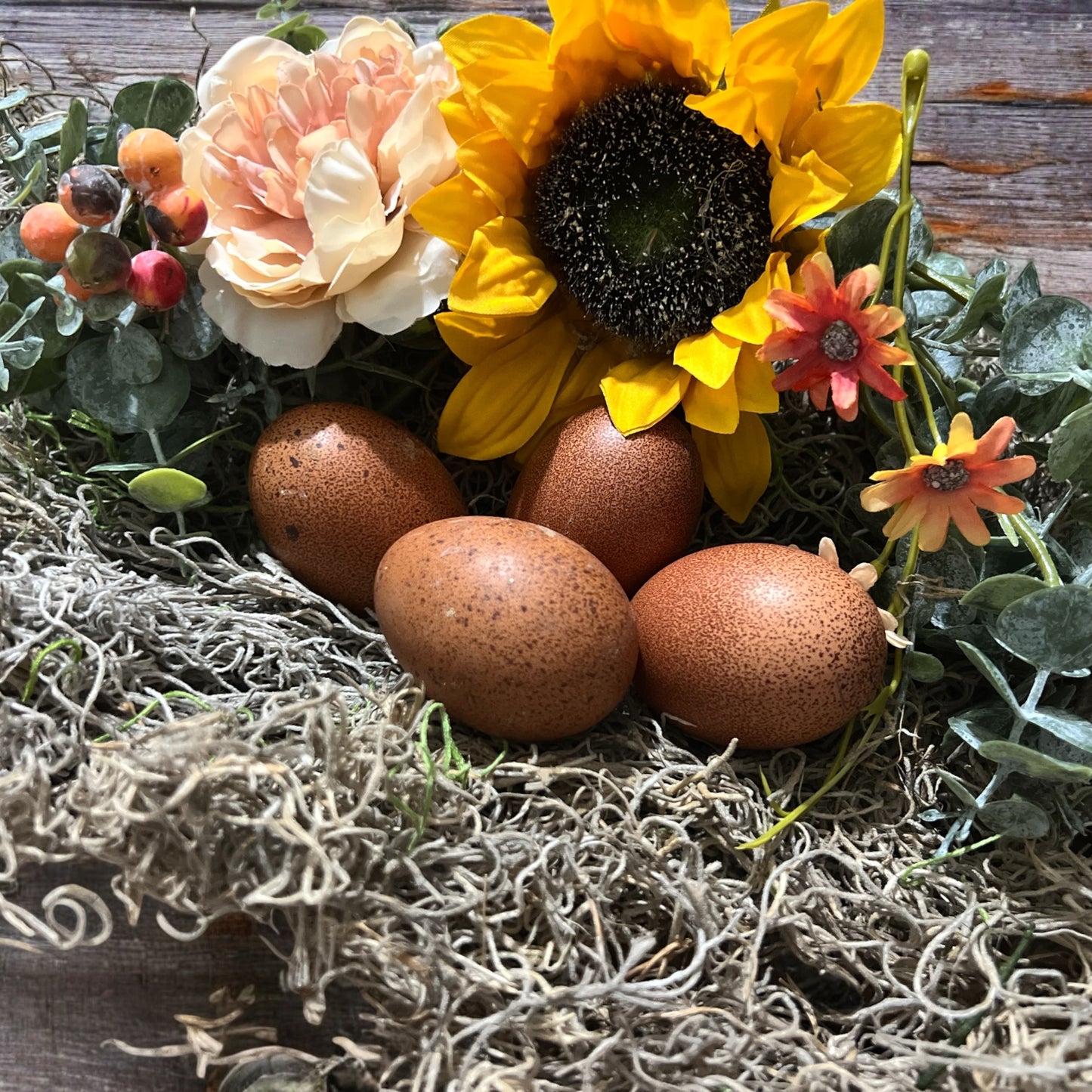 Decorative arrangement with speckled brown Welsummer eggs, flowers, and moss on a wooden surface