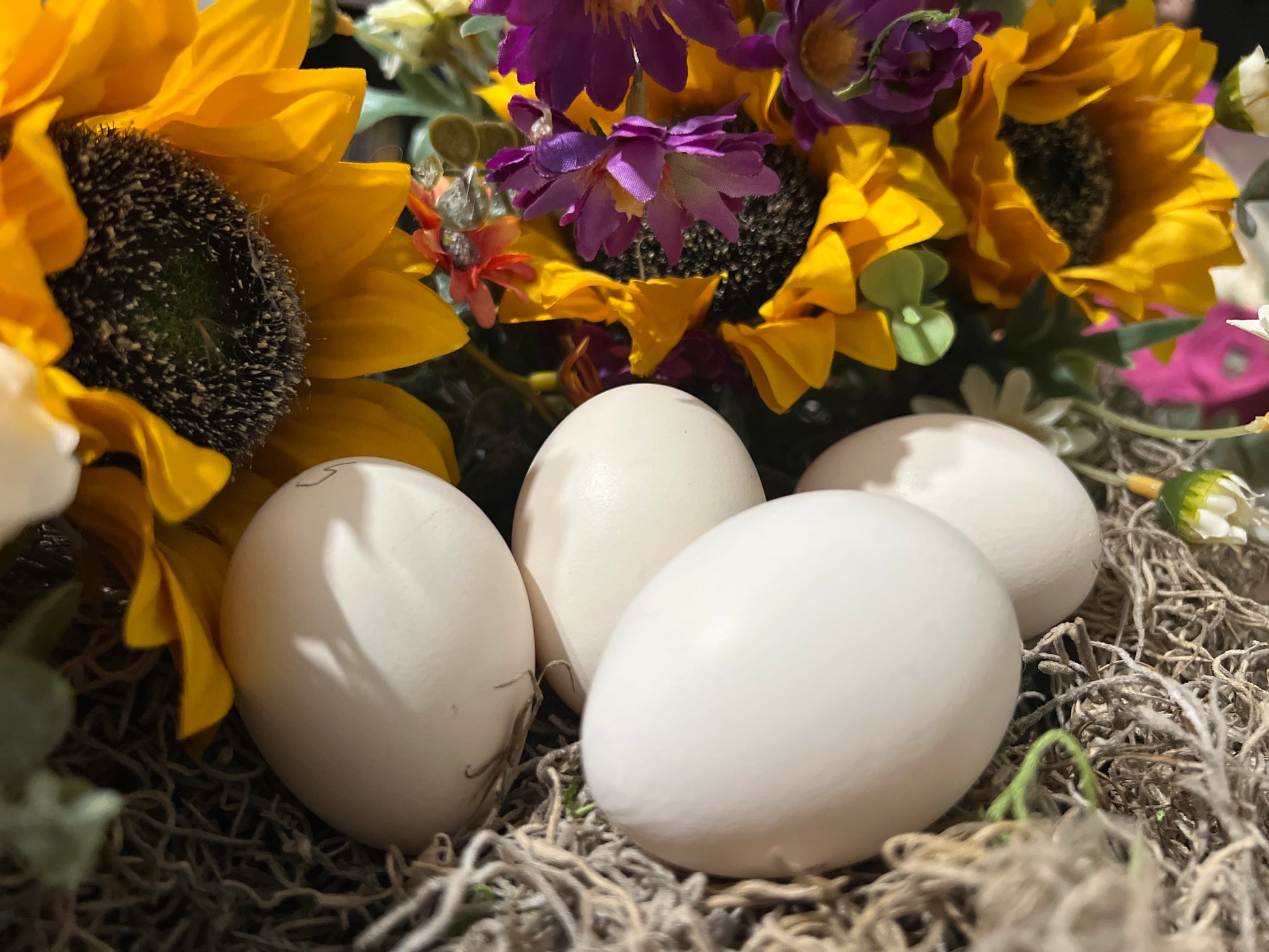 white Eggs in a nest with sunflowers and other flowers in the background
