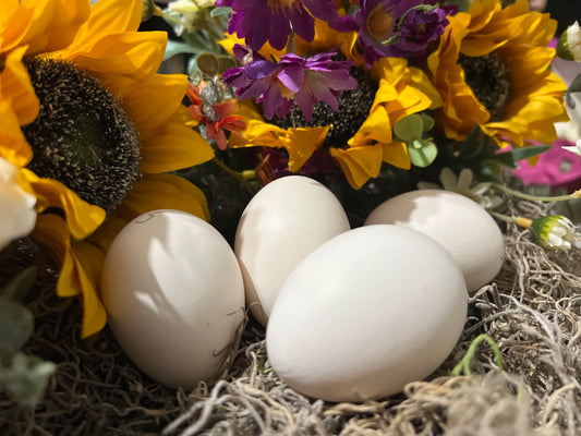 white Eggs in a nest with sunflowers and other flowers in the background